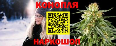 молекула духа Будённовск