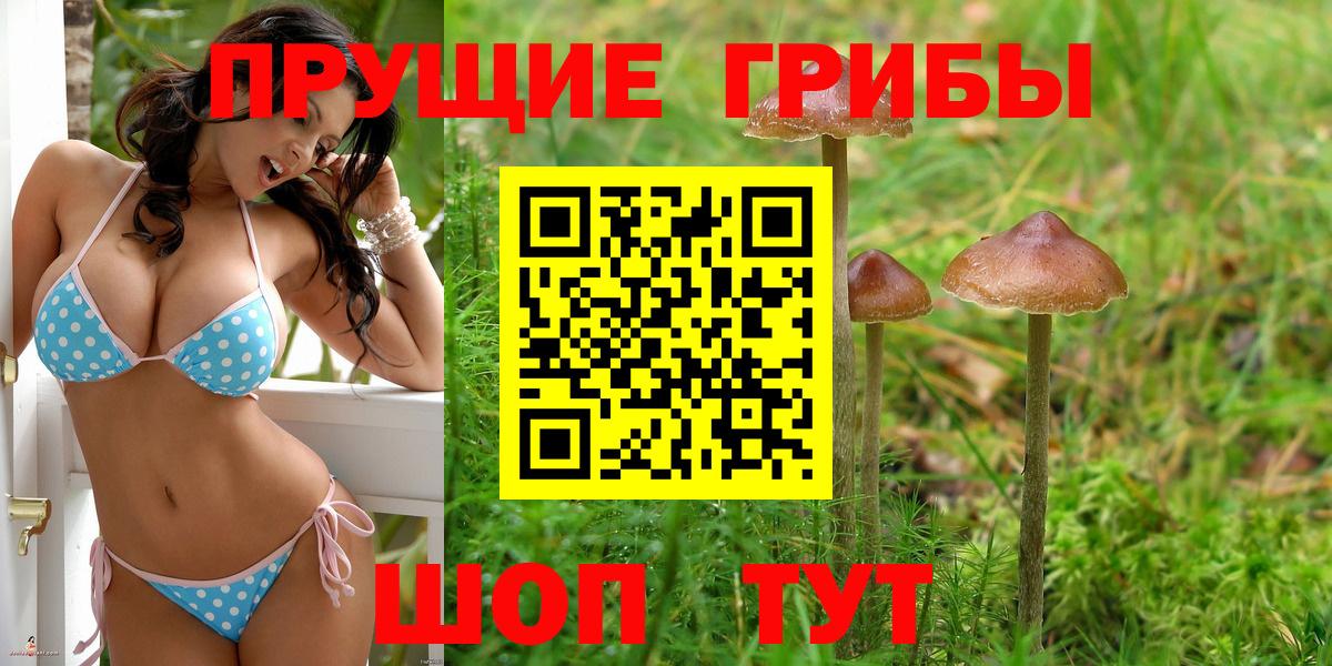 Псилоцибиновые грибы ЛСД Кострома