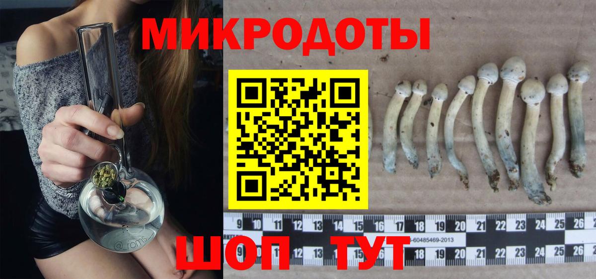 Кострома  Псилоцибиновые грибы GOLDEN TEACHER  Вход с VPN 