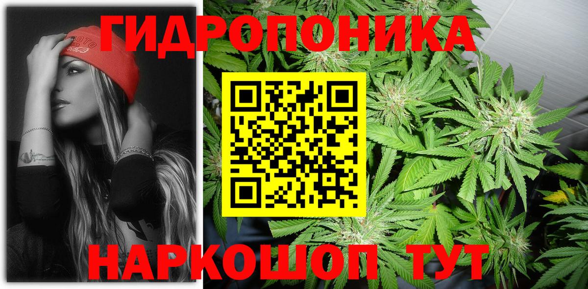 Бошки Шишки тримм Кострома
